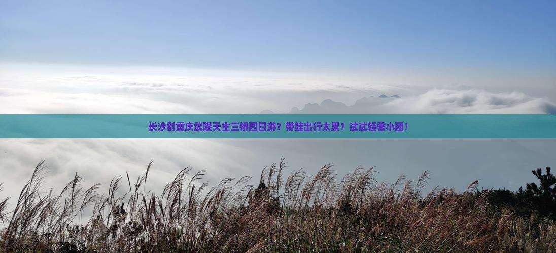 长沙到重庆武隆天生三桥四日游？带娃出行太累？试试轻奢小团！