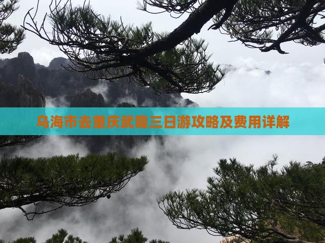 乌海市去重庆武隆三日游攻略及费用详解