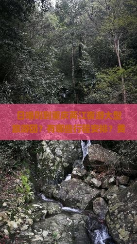 日喀则到重庆两江夜游大型旅游团？有哪些行程安排？费用是多少？如何报名参加？