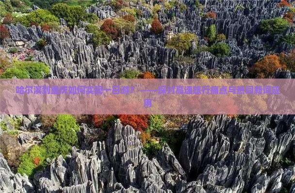 哈尔滨到重庆如何实现一日游？ ——探讨高速旅行痛点与热词新词应用