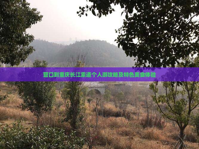营口到重庆长江索道个人游攻略及特色美食体验