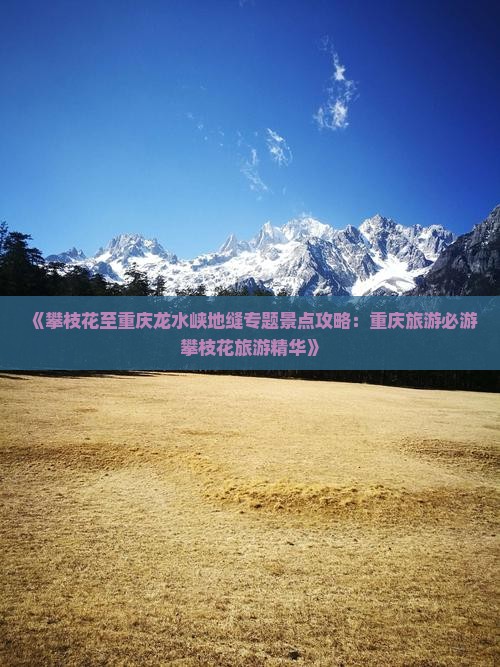 《攀枝花至重庆龙水峡地缝专题景点攻略：重庆旅游必游攀枝花旅游精华》