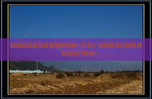 如何实现驻马店至重庆武隆一日游？如何解决行程痛点，玩转热门景点？