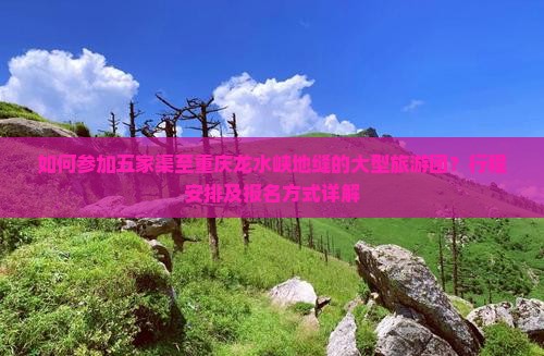 如何参加五家渠至重庆龙水峡地缝的大型旅游团？行程安排及报名方式详解