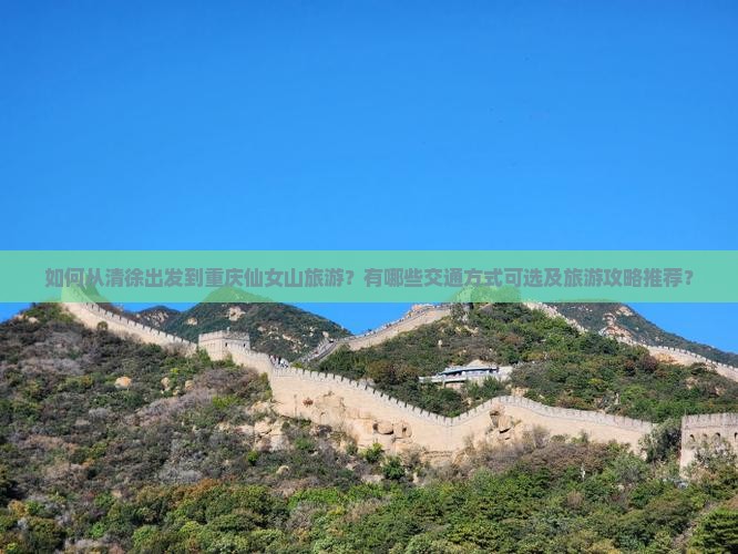 如何从清徐出发到重庆仙女山旅游？有哪些交通方式可选及旅游攻略推荐？
