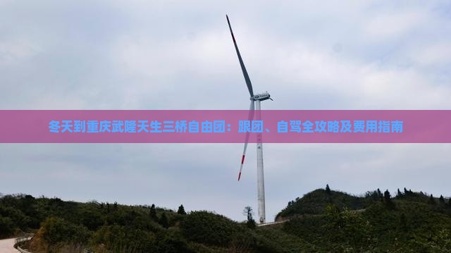 冬天到重庆武隆天生三桥自由团：跟团、自驾全攻略及费用指南