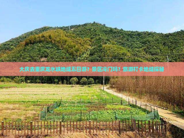 大庆去重庆龙水峡地缝五日游？景区冷门吗？旅游打卡地缝探秘
