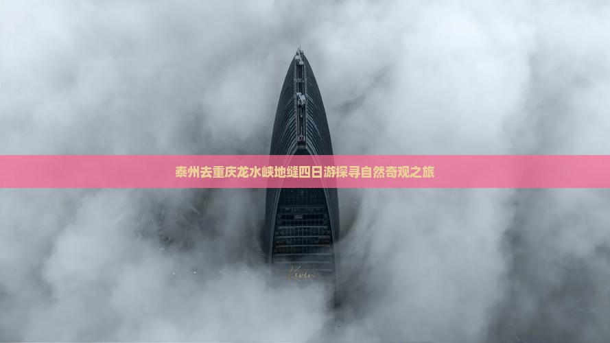 泰州去重庆龙水峡地缝四日游探寻自然奇观之旅