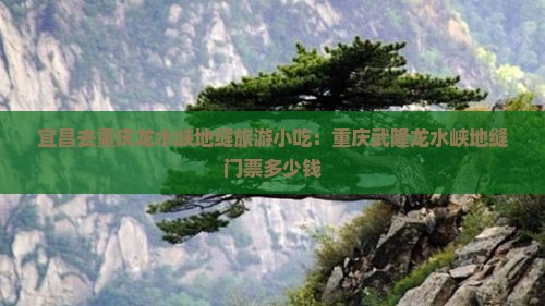 宜昌去重庆龙水峡地缝旅游小吃：重庆武隆龙水峡地缝门票多少钱