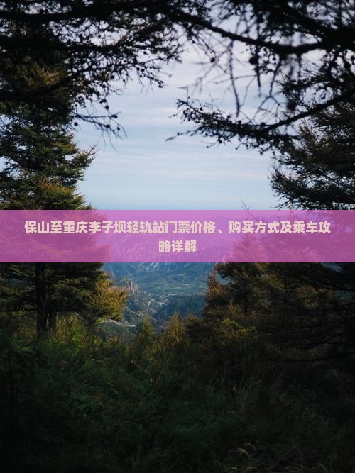 保山至重庆李子坝轻轨站门票价格、购买方式及乘车攻略详解