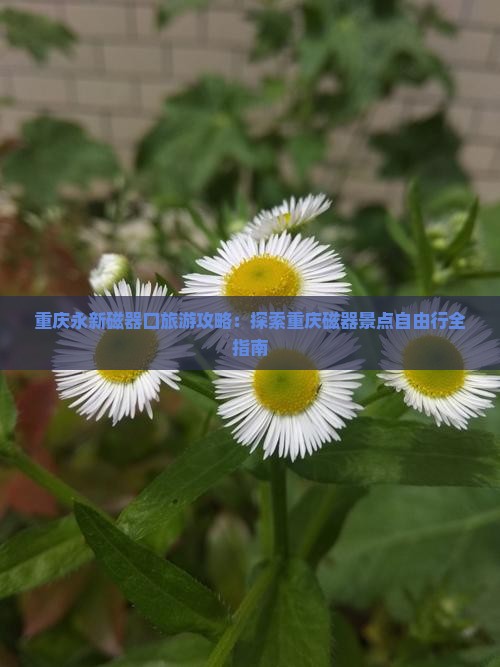 重庆永新磁器口旅游攻略：探索重庆磁器景点自由行全指南