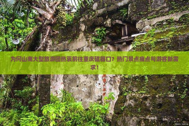 为何山南大型旅游团热衷前往重庆磁器口？热门景点痛点与游客新需求！