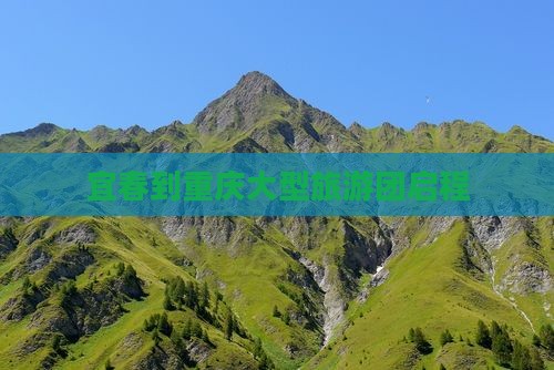 宜春到重庆大型旅游团启程