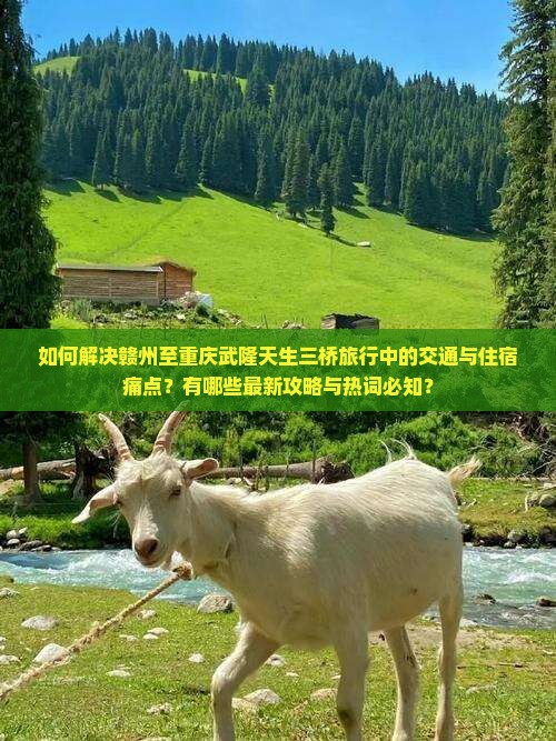 如何解决赣州至重庆武隆天生三桥旅行中的交通与住宿痛点？有哪些最新攻略与热词必知？
