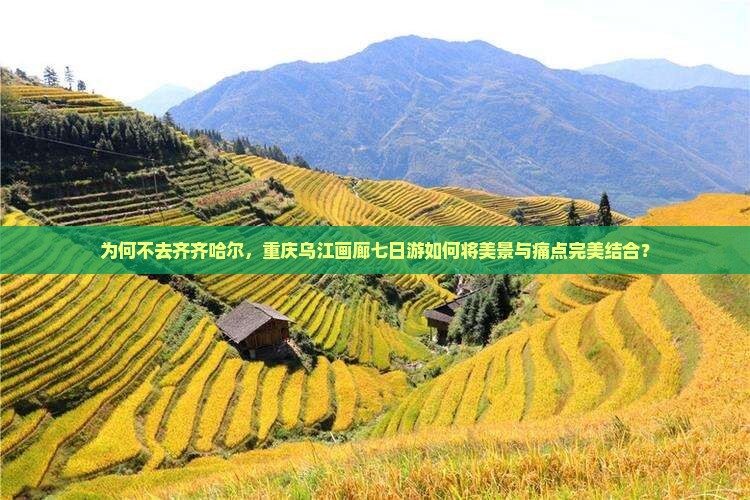 为何不去齐齐哈尔，重庆乌江画廊七日游如何将美景与痛点完美结合？