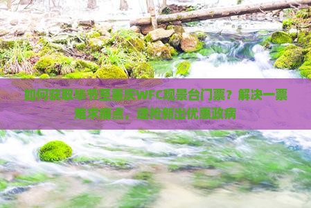 如何获取毕节至重庆WFC观景台门票？解决一票难求痛点，速抢新出优惠政病