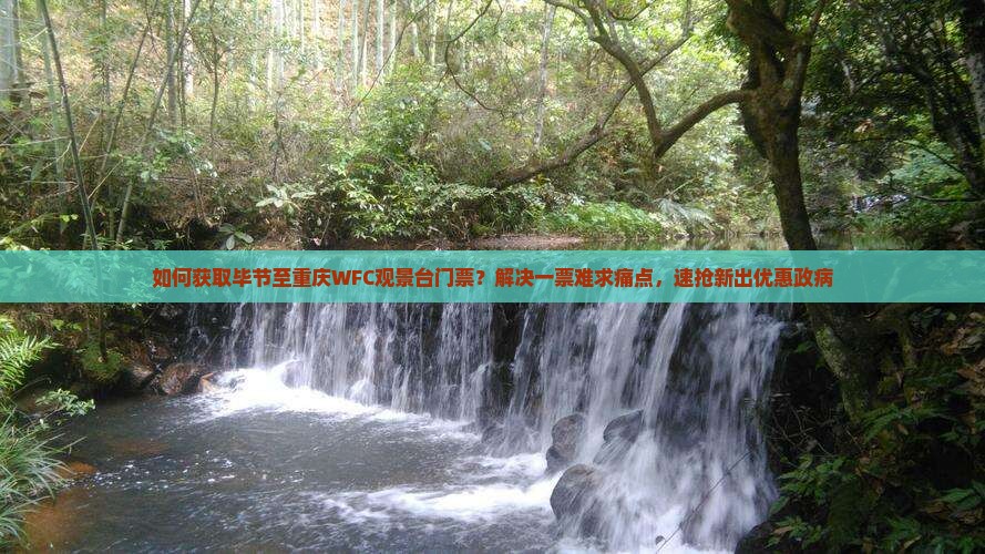 如何获取毕节至重庆WFC观景台门票？解决一票难求痛点，速抢新出优惠政病