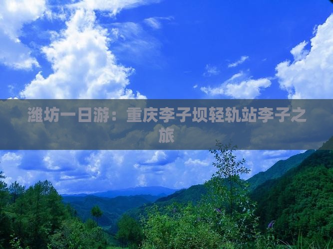 潍坊一日游：重庆李子坝轻轨站李子之旅