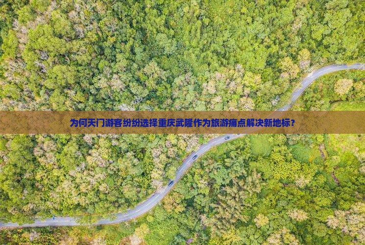 为何天门游客纷纷选择重庆武隆作为旅游痛点解决新地标？