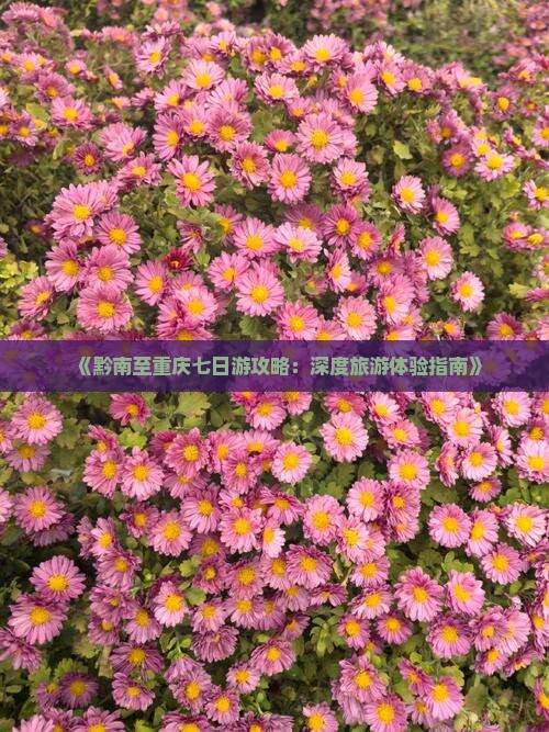 《黔南至重庆七日游攻略：深度旅游体验指南》
