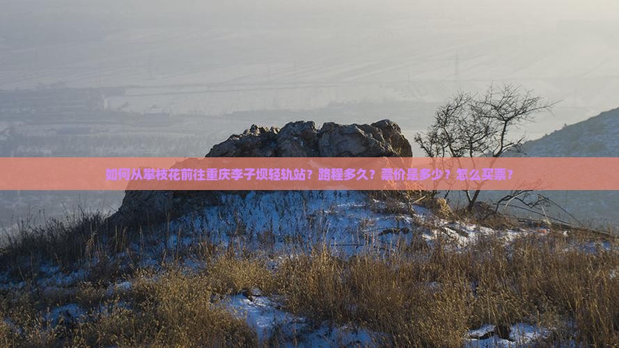 如何从攀枝花前往重庆李子坝轻轨站？路程多久？票价是多少？怎么买票？