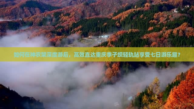 如何在神农架深度游后，高效直达重庆李子坝轻轨站享受七日游乐趣？