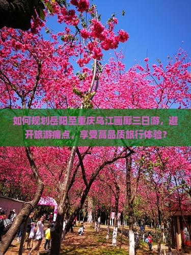 如何规划岳阳至重庆乌江画廊三日游，避开旅游痛点，享受高品质旅行体验？