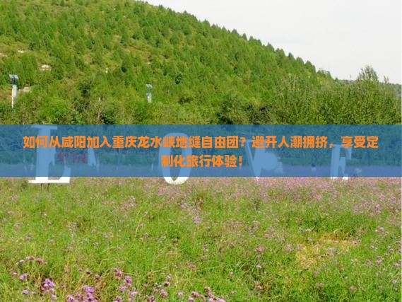 如何从咸阳加入重庆龙水峡地缝自由团？避开人潮拥挤，享受定制化旅行体验！