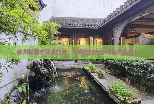 锦州到重庆武隆旅游，有哪些特色小吃值得品尝？