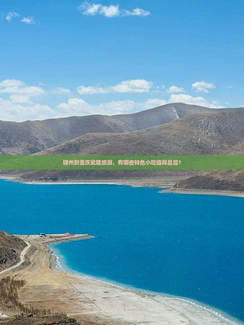 锦州到重庆武隆旅游，有哪些特色小吃值得品尝？