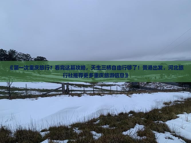 《第一次重庆旅行？看完这篇攻略，天生三桥自由行够了！贵港出发，河北旅行社推荐更多重庆旅游信息》