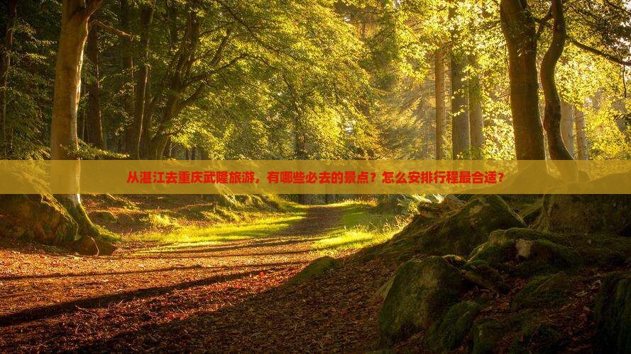 从湛江去重庆武隆旅游，有哪些必去的景点？怎么安排行程最合适？