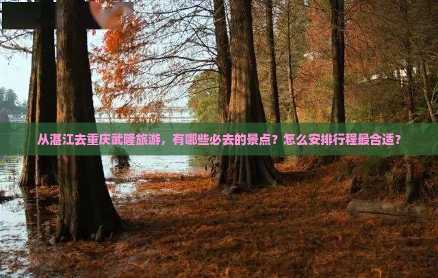 从湛江去重庆武隆旅游，有哪些必去的景点？怎么安排行程最合适？