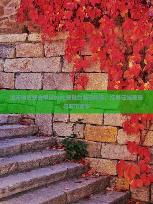 海南省直辖去重庆WFC观景台游玩指南：探寻云端美景与城市繁华