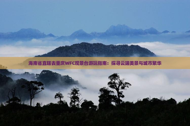 海南省直辖去重庆WFC观景台游玩指南：探寻云端美景与城市繁华