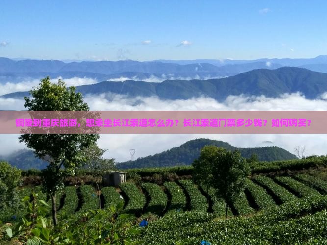 铜陵到重庆旅游，想乘坐长江索道怎么办？长江索道门票多少钱？如何购买？