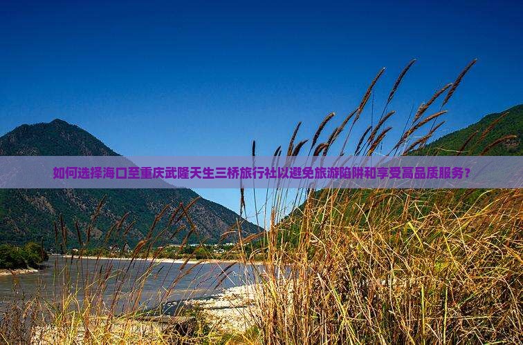 如何选择海口至重庆武隆天生三桥旅行社以避免旅游陷阱和享受高品质服务？