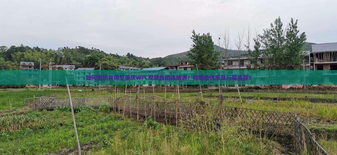 如何组织黄冈至重庆WFC观景台团体旅游？有哪些优惠及行程推荐？