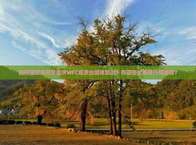 如何组织黄冈至重庆WFC观景台团体旅游？有哪些优惠及行程推荐？