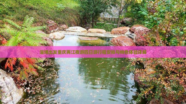 淄博出发重庆两江夜游四日游行程安排与特色体验详解