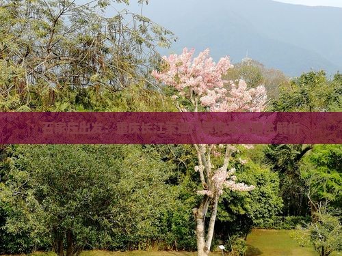 石家庄出发：重庆长江索道门票购买攻略全解析