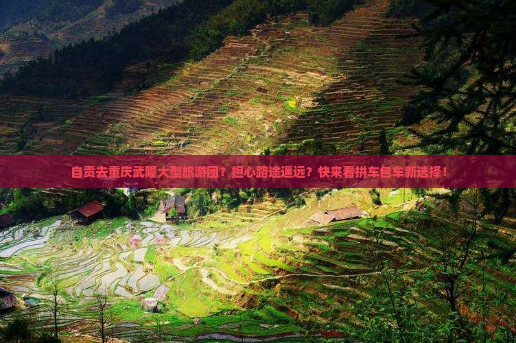 自贡去重庆武隆大型旅游团？担心路途遥远？快来看拼车包车新选择！