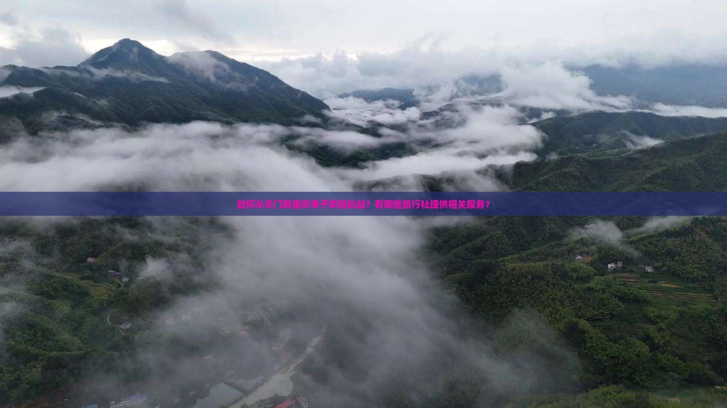 如何从天门到重庆李子坝轻轨站？有哪些旅行社提供相关服务？