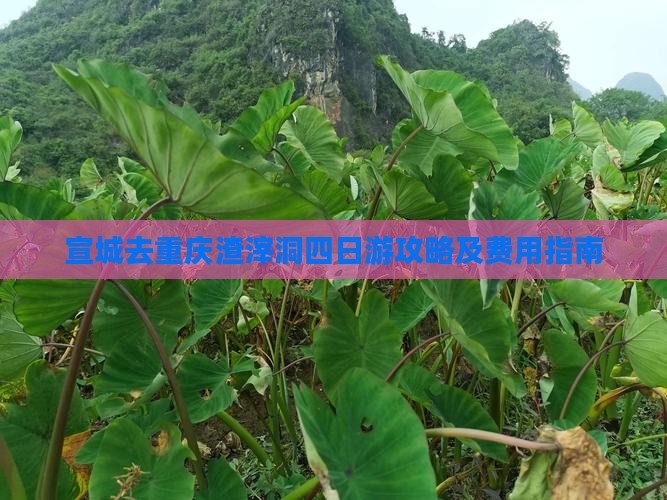 宣城去重庆渣滓洞四日游攻略及费用指南