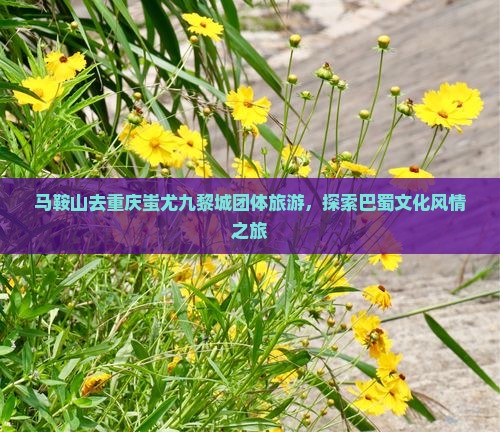 马鞍山去重庆蚩尤九黎城团体旅游，探索巴蜀文化风情之旅