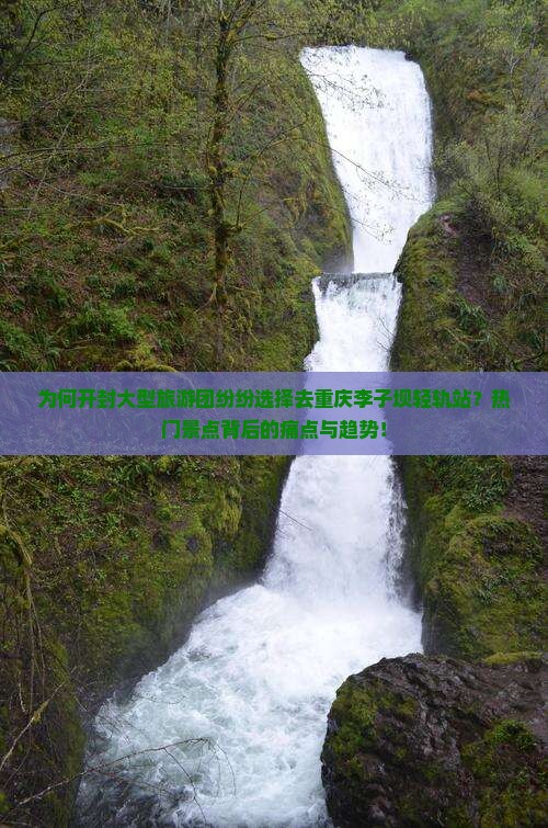 为何开封大型旅游团纷纷选择去重庆李子坝轻轨站？热门景点背后的痛点与趋势！