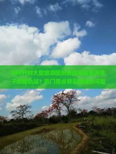 为何开封大型旅游团纷纷选择去重庆李子坝轻轨站？热门景点背后的痛点与趋势！
