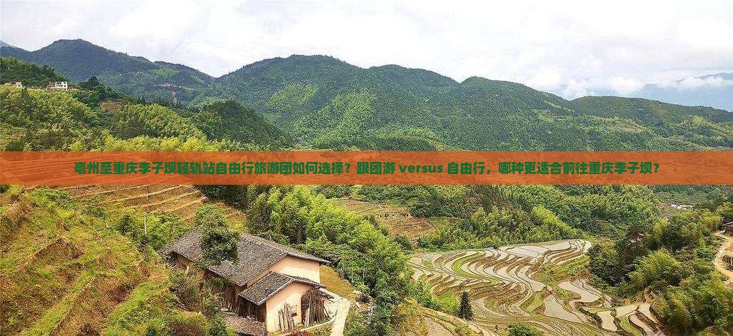 亳州至重庆李子坝轻轨站自由行旅游团如何选择？跟团游 versus 自由行，哪种更适合前往重庆李子坝？