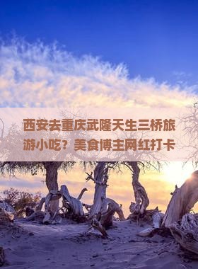 西安去重庆武隆天生三桥旅游小吃？美食博主网红打卡地与地道风味