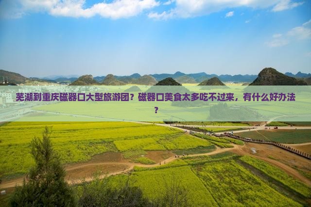 芜湖到重庆磁器口大型旅游团？磁器口美食太多吃不过来，有什么好办法？